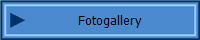 Fotogallery