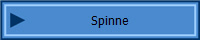 Spinne